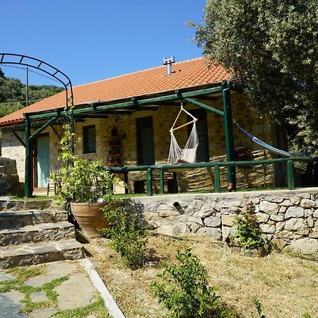 Elpida Country House -Paleochora-Anidri Ngoại thất bức ảnh