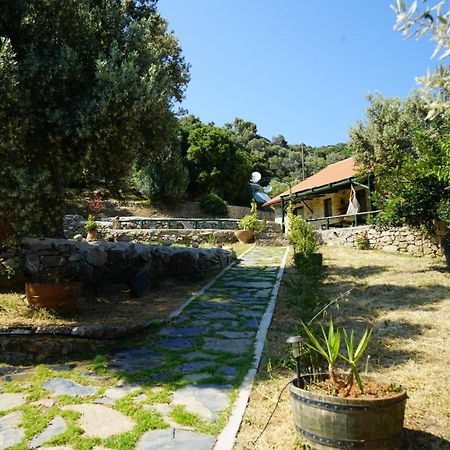 Elpida Country House -Paleochora-Anidri Ngoại thất bức ảnh